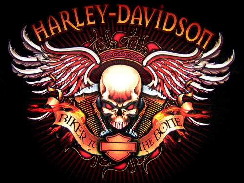 Ice Buckets: Harley Davidson. Brand New Products. Collections are allowed.