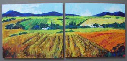 panoramic plantations in the Boland