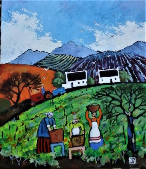 cape winelands