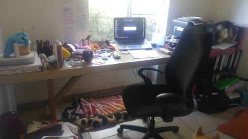 2.8m Wooden Office Desk with Black Office Chair
