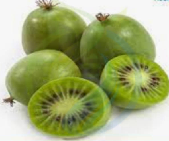 Kiwi Berry Seed