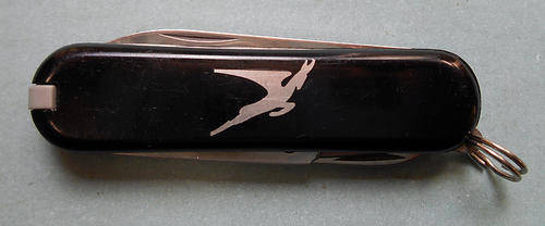 A small Victorinox Pocket knife, Black with SAA Logo.