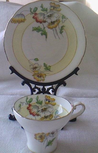 GORGEOUS AYNSLEY DUO