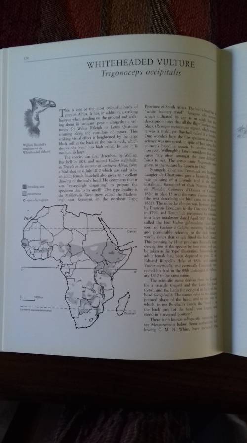 The Vultures of Africa