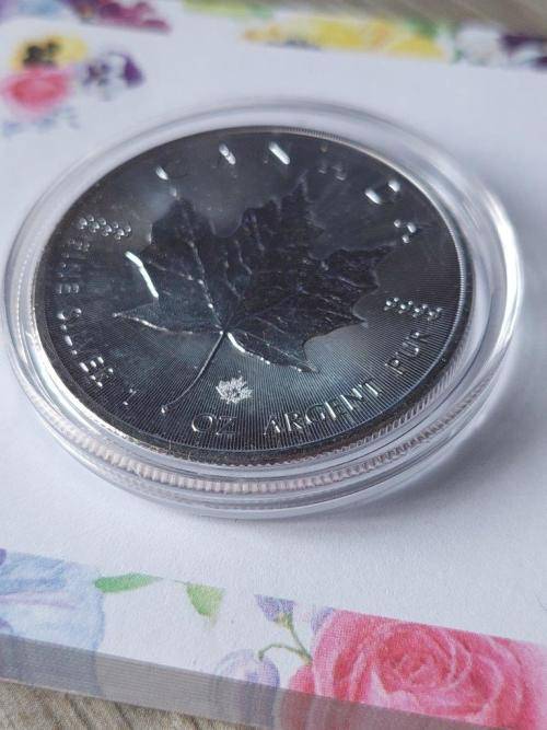 Canadian Silver Maple Leaf