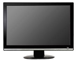 19" LCD Screen