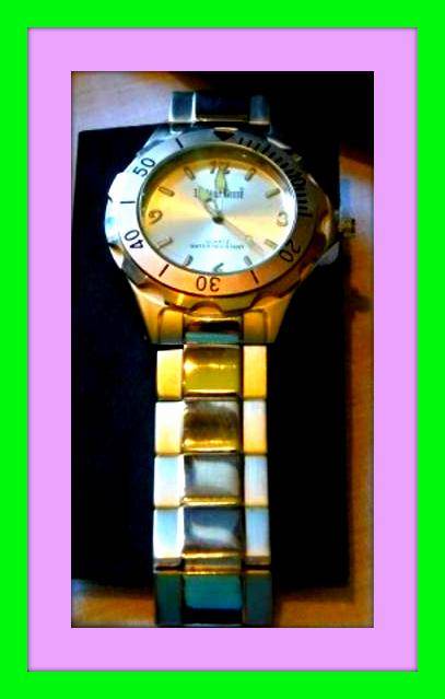 Brand New Stylish Mens Watches " THE WILD GEESE'' Amazing Quality Quartz & waterproof @@@ LOOK @@@