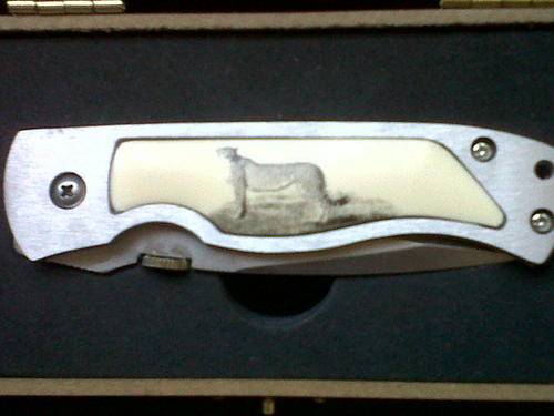 Pocket Knive in wooden box  ( Leopard )