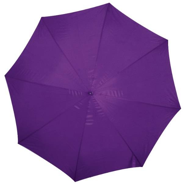 Purple umbrella