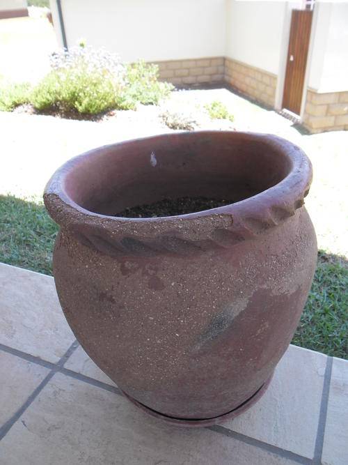 garden pot