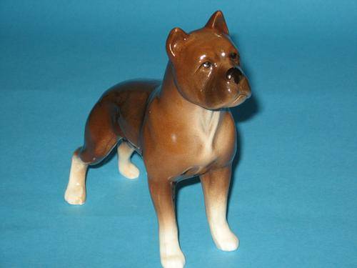 LOVELY SYLVAC BOXER DOG