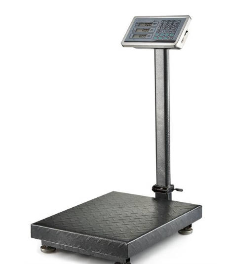 300kg Foldable Industrial Weighing and Price Computing Scale