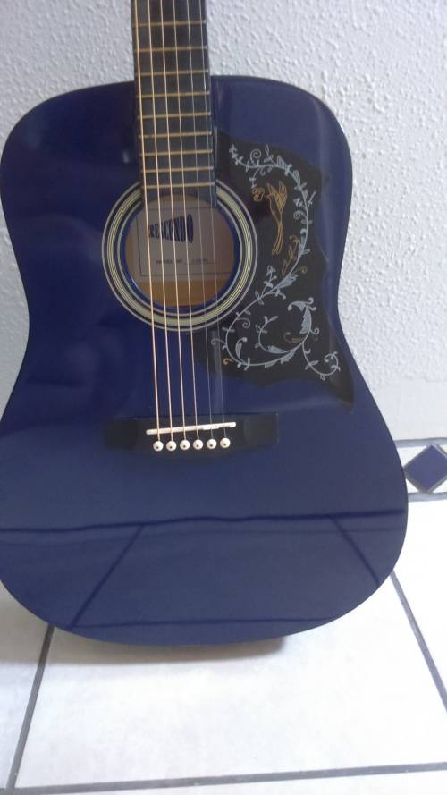 Guitar
