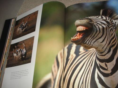 NO BETTER WORD THAN " STUNNING " A MUST HAVE COFFEE TABLE BOOK