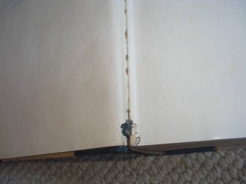 EXTREMELY RARE BOOK " ROBERTS BIRDS OF SOUTH AFRICA " LIMITED AND SIGNED NO 169/300 !!!!!