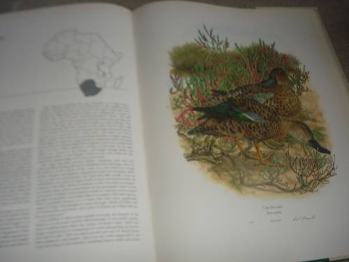 A BEAUTIFUL LIMITED EDITION HUGE COFFEE TABLE BOOK " DUCKS " A WONDERFUL GIFT !!!!