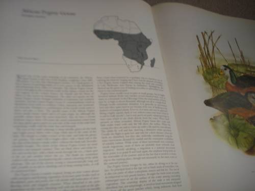 A BEAUTIFUL LIMITED EDITION HUGE COFFEE TABLE BOOK " DUCKS " A WONDERFUL GIFT !!!!