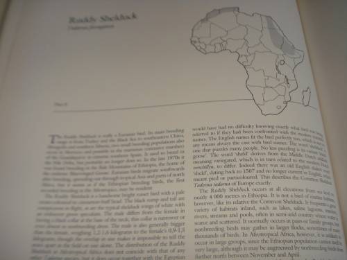 A BEAUTIFUL LIMITED EDITION HUGE COFFEE TABLE BOOK " DUCKS " A WONDERFUL GIFT !!!!