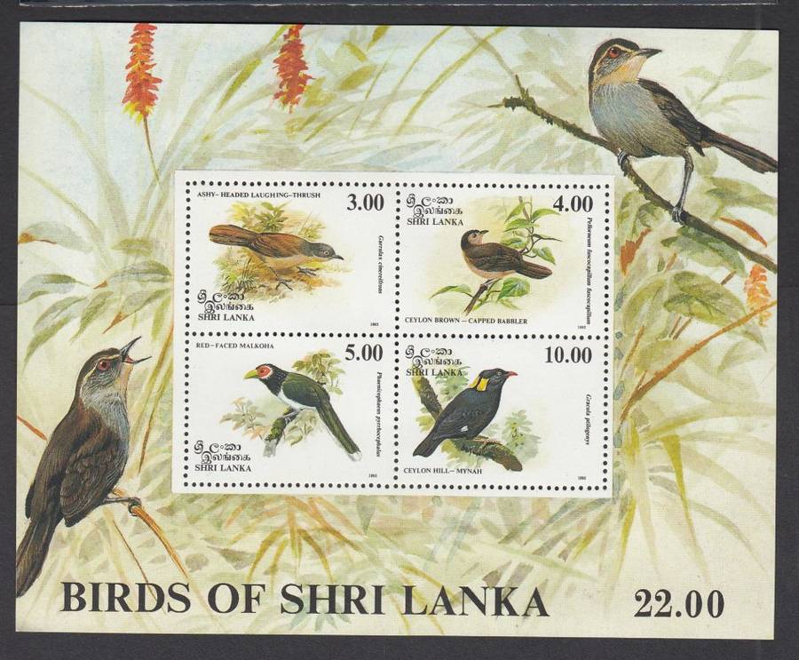 SRI LANKA-1993 BIRDS MINI SHEET  SUPERB UNMOUNTED MINT