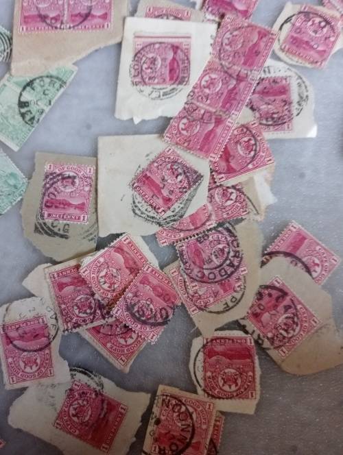 COGH-A STUNNING LOT FOR TOWN HUNTERS-MOST ARE CLEAR ON PIECE