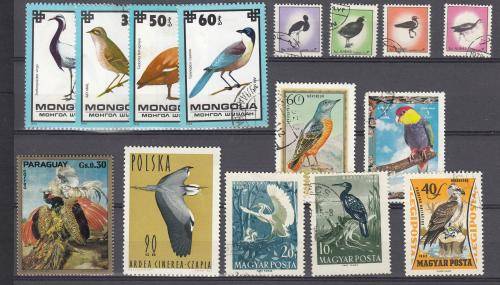 BIRDS GALORE-FILL SOME GAPS !! BARGAIN PRICES !!!
