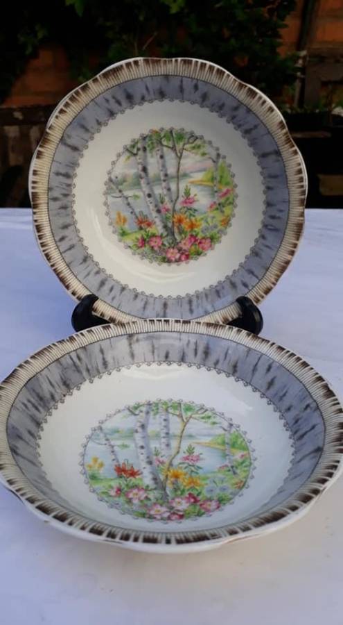 2 x Royal Albert dessert bowls
