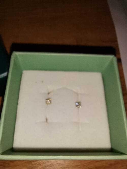 9ct Gold Claw Set Diamond Stud earrings