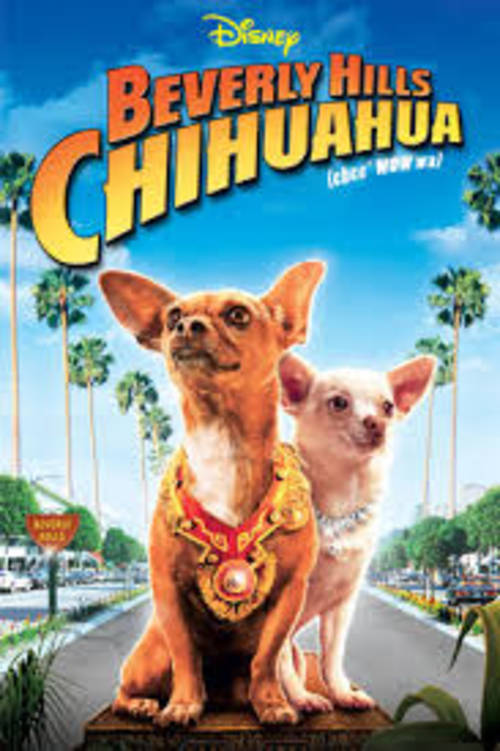 Beverly Hills Chihuahua