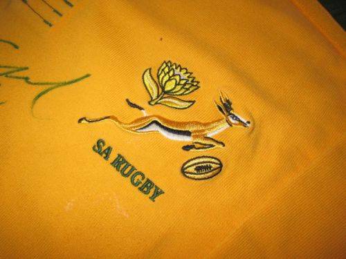 Springbok Practice Jersey
