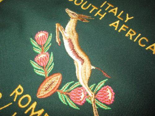 Springbok Players Match Pendant - 1995