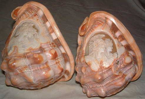 CONCH SHELLS CARVED - ITALY 1943
