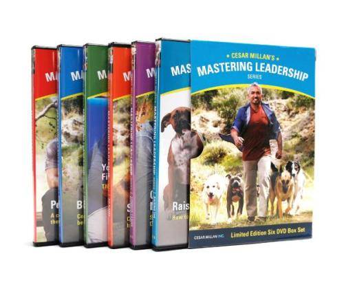 Dog training - Cesar Millan Mastering Leadership Series