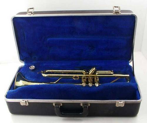 Trumpet in Case