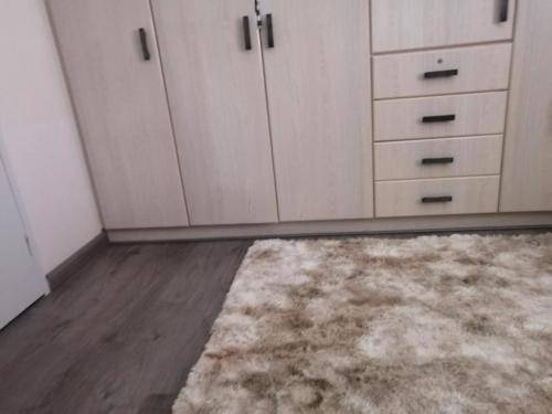 Plush Carpets