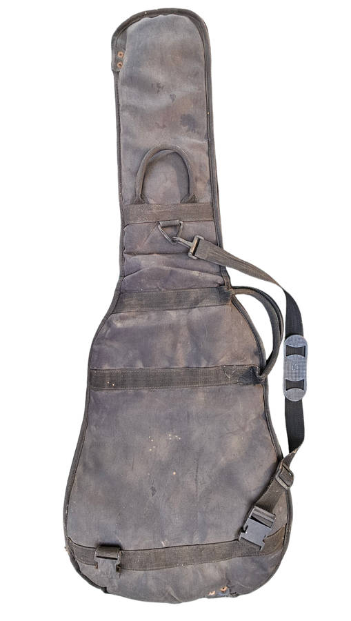 Electric guitar bag