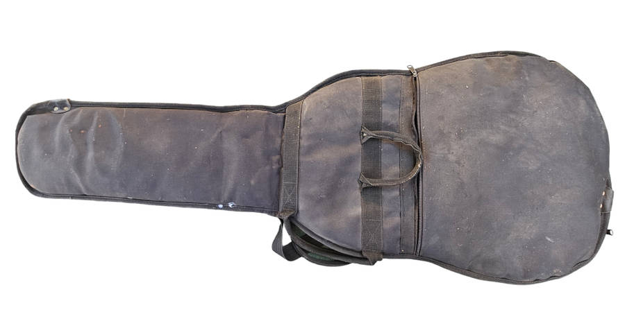 Electric guitar bag