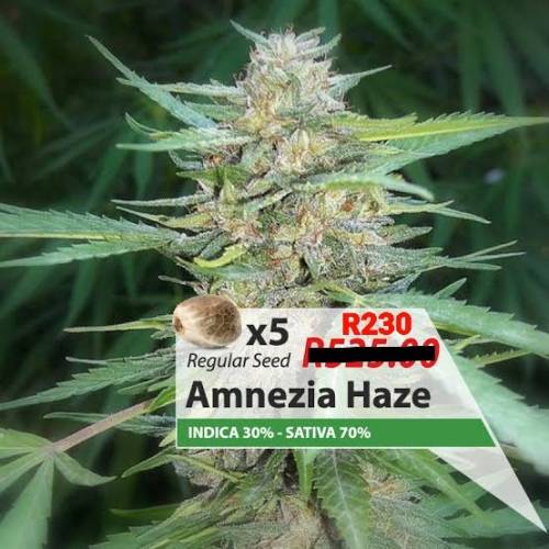cannabis seeds