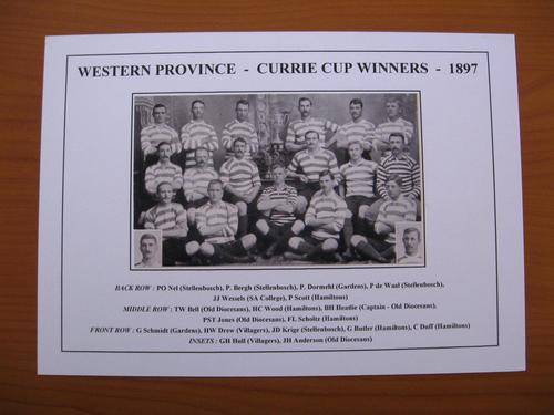 Gloss photo of the Western Province rugby team - Currie Cup winners - 1897
