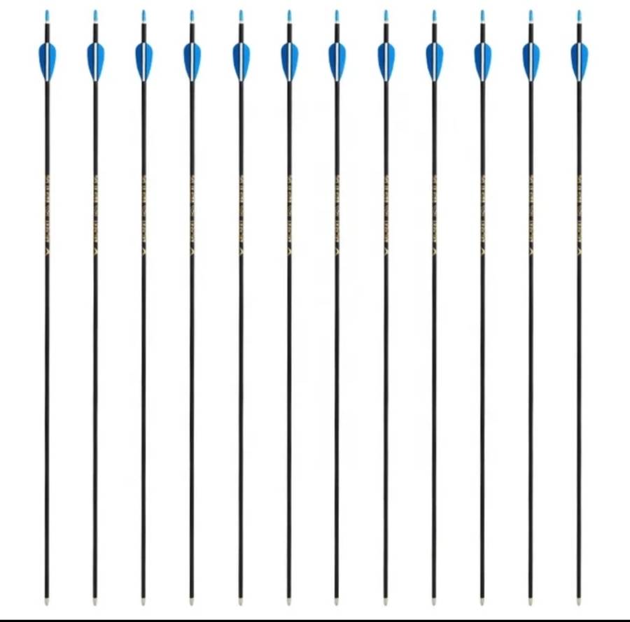 20 PACK CARBON COMPETITON ARROWS