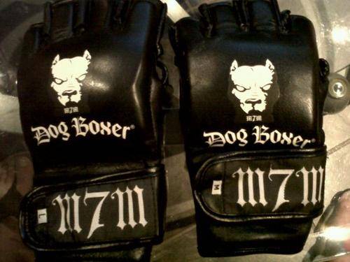 MMA DOGBOXER  GLOVES