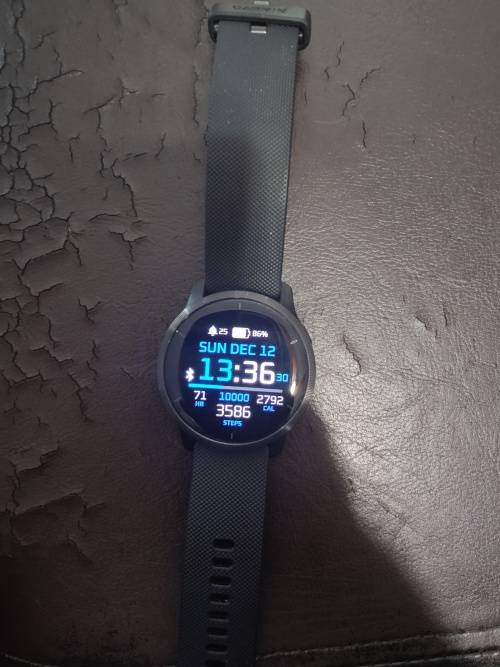 Garmin Venu 2