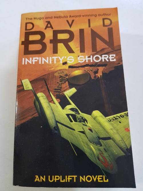 David Brin, Infinity's Shore