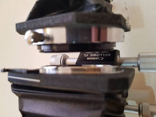 Canon Bellows FL
