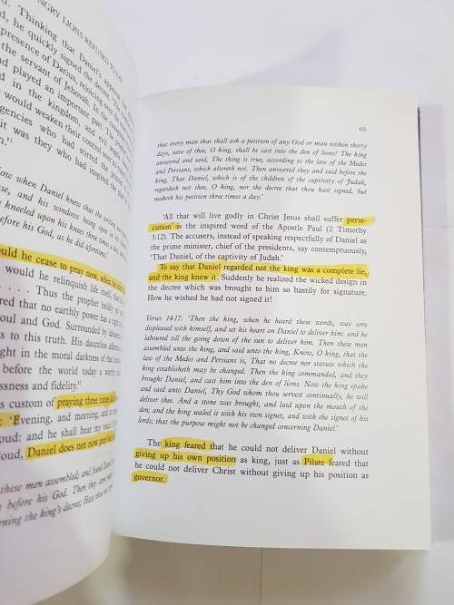 Daniel Reveals The Future by Robert J. Wieland