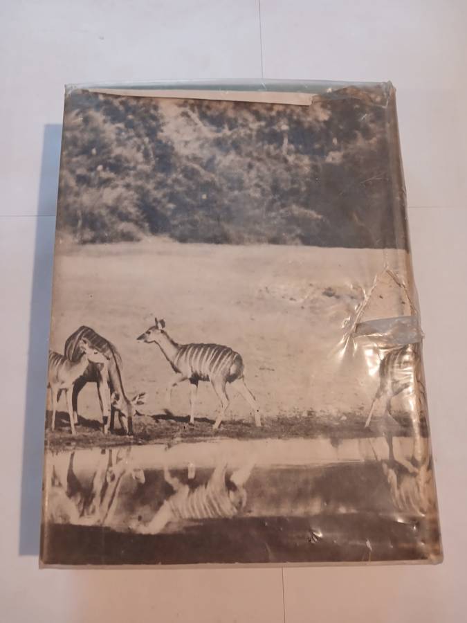 Sanctuary by C.S. Stokes, Hardcover 1946