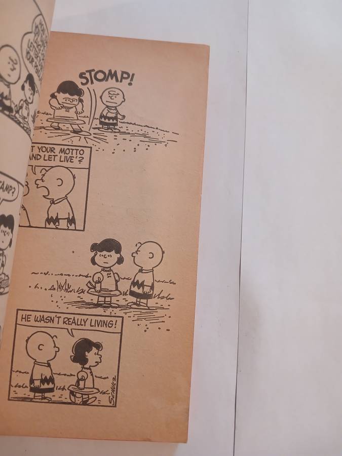 Charlie Brown, We`re on Your Side, Charlie Brown by Charles M. Schulz