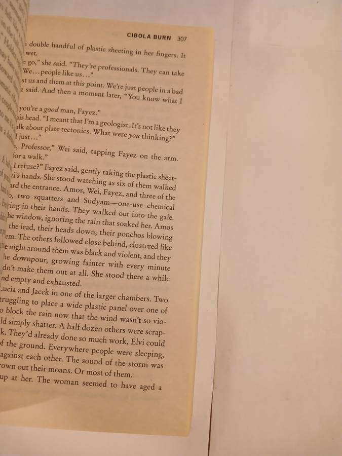 Cibola Burn, Book Four by James S.A. Corey