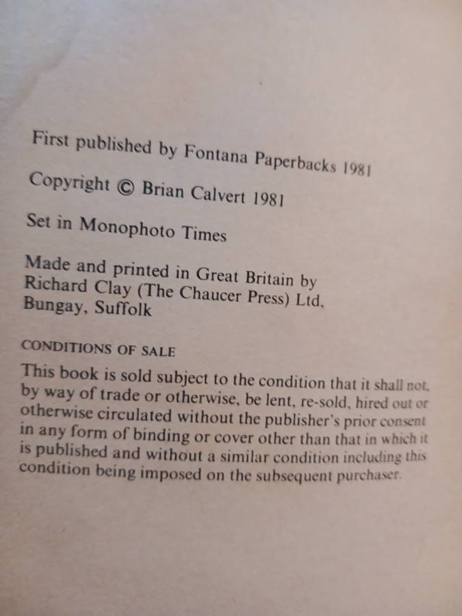 Flying Concorde by Brian Calvert