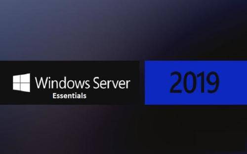 Microsoft Windows Server 2019 Essentials