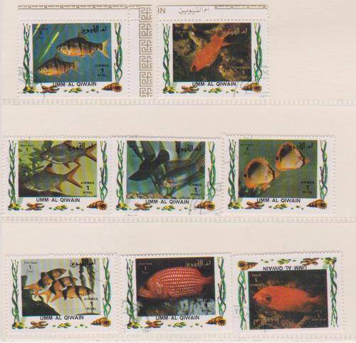 Thematic:-   Fish   (as per scan )